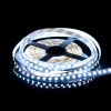 $ = TAŚMA LED 600 SMD2835 CW IP20 5M SMD LEDline5Y