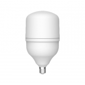 ŻARÓWKA E27 LED T100 25W DW