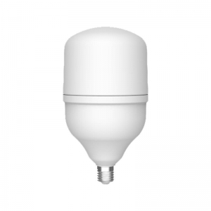 ŻARÓWKA E27 LED T100 25W DW